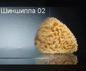 Душевой уголок Vegas Glass 2GPS Lux, 90 x 80 см, профиль бронза, стекло шиншилла