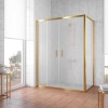 Душевой уголок Vegas Glass Z2P+ZPV, 220 x 90 x 190 см, профиль золото, стекло сатин