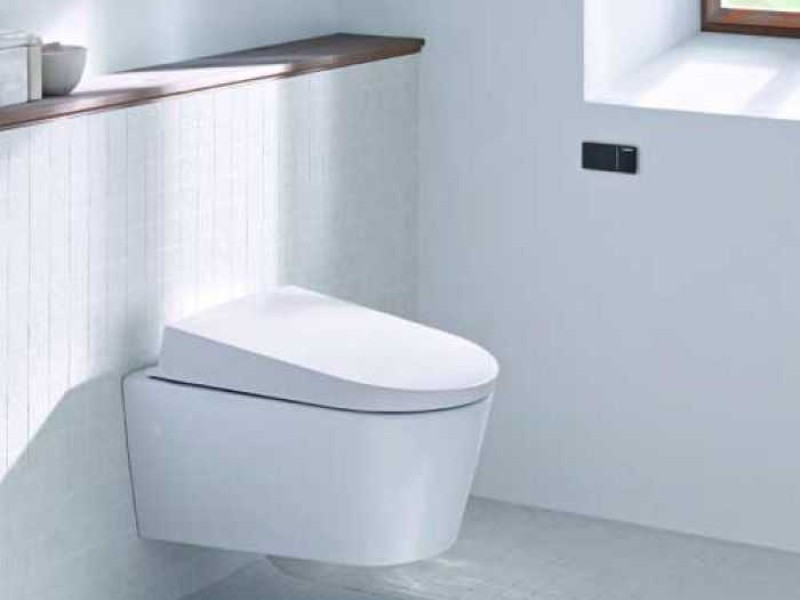 Клавиша Geberit Omega Type 70 115.083.SI.1 для унитаза, двойной смыв, стекло/алюминий, цвет белый