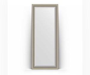 Зеркало в багетной раме Evoform Exclusive Floor BY 6120 81 x 201 см, хамелеон