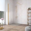 Неподвижная стенка Vegas Glass EAF Lux 96 09 02, профиль - золото, стекло – шиншилла, 96*199,5 см