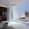 Душевой набор AXOR Starck Shower Collection 10651000, внешняя часть