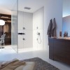Душевой набор AXOR Starck Shower Collection 10651000, внешняя часть