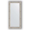 Зеркало в багетной раме Evoform Exclusive BY 1307 76 x 166 см, римское серебро