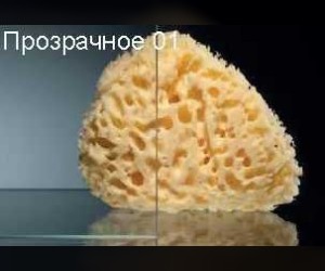 Душевой уголок Vegas Glass GPS-Fis Lux, 80 x 120 x 199.5 см, профиль матовый хром, стекло прозрачное