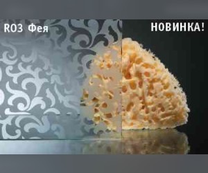 Душевой уголок Vegas Glass Z2P+ZPV, 170 x 100 x 190 см, профиль золото, стекло фея